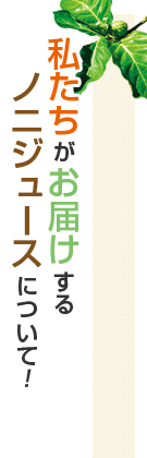 私たちがお届けするノニジュースについて